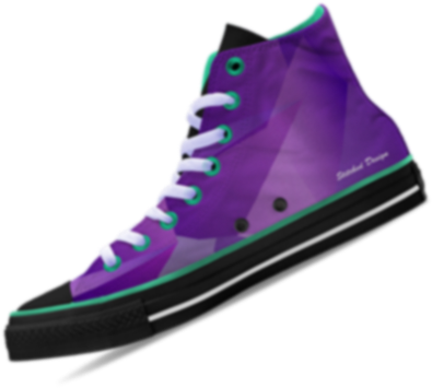 sn21.png