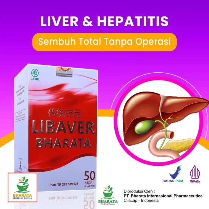 Obat Herbal Liver