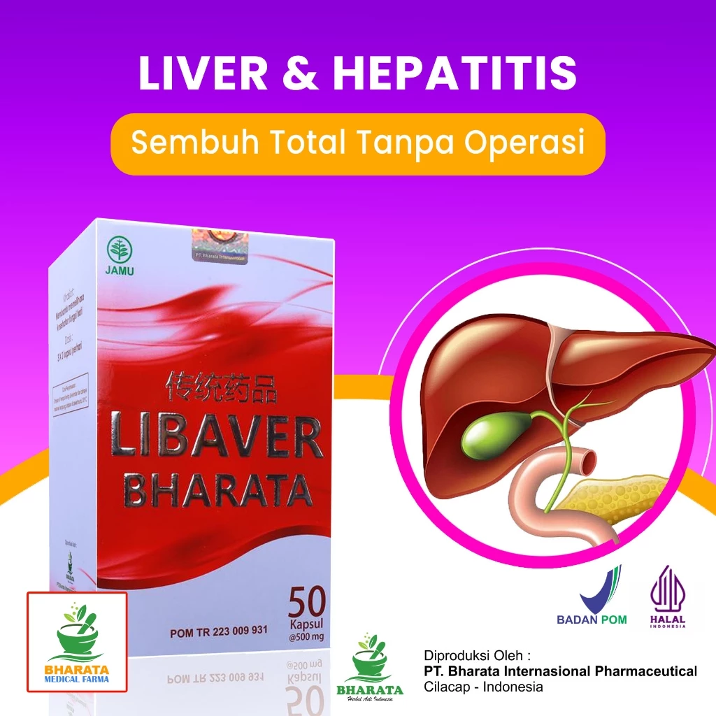 Obat Herbal Liver
